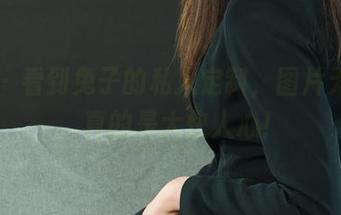 丽柜 – 看到兔子的私人定制,图片无圣光,真的是大快人心!