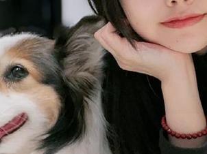 女神降临！樱群新图集更新，绝对让你眼前一亮！