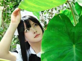 白莉爱吃巧克力日常：美图套餐，保证让你一秒钟忘掉减肥的痛苦！